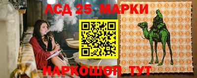 мдпв Будённовск