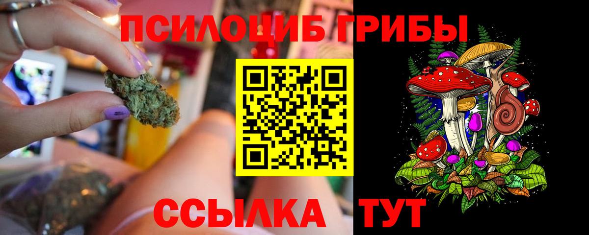 Магнитогорск  Псилоцибиновые грибы Psilocybe  Вход с VPN 
